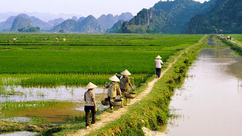 Tăng thời hạn giao, cho thuê đất nông nghiệp: Ai có lợi?